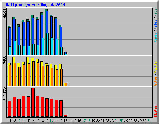 Daily usage for August 2024