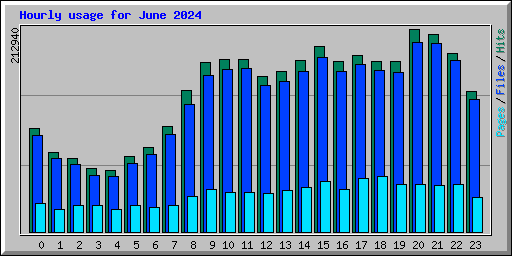 Hourly usage for June 2024