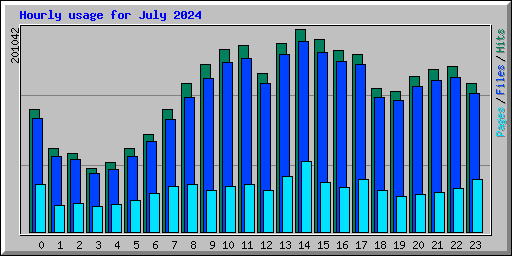 Hourly usage for July 2024