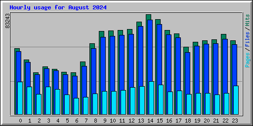 Hourly usage for August 2024